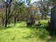 Photo - Lot 22 Genowlan Road, Rylstone NSW 2849 - Image 10