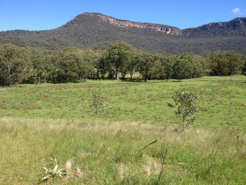 Photo - Lot 22 Genowlan Road, Rylstone NSW 2849 - Image 13