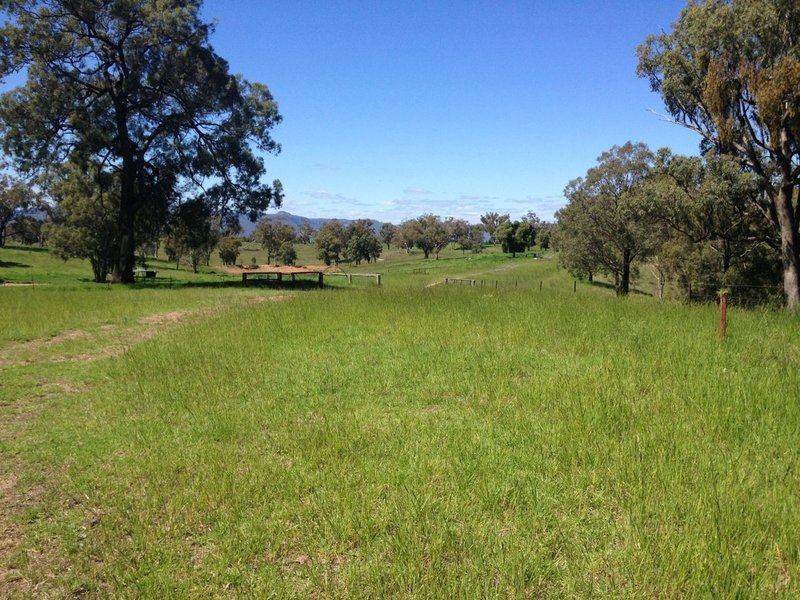 Photo - Lot 22 Genowlan Road, Rylstone NSW 2849 - Image 15