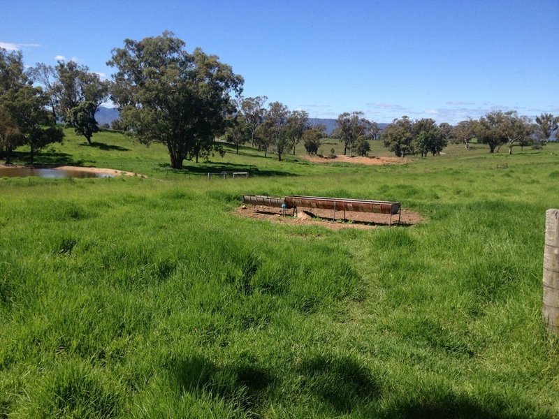 Photo - Lot 22 Genowlan Road, Rylstone NSW 2849 - Image 17