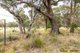 Photo - Lot 22 Marshall Way, Emmaville NSW 2371 - Image 5