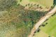 Photo - Lot 22 Part 51 Nerrigundah Mountain Road, Bodalla NSW 2545 - Image 3