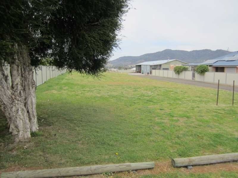 Photo - Lot 220 Denman Avenue, Kootingal NSW 2352 - Image 3