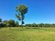 Photo - Lot 220 Kingaroy Burrandowan Road, Wattle Grove QLD 4610 - Image 6