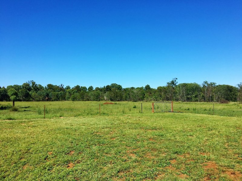 Photo - Lot 220 Kingaroy Burrandowan Road, Wattle Grove QLD 4610 - Image 7