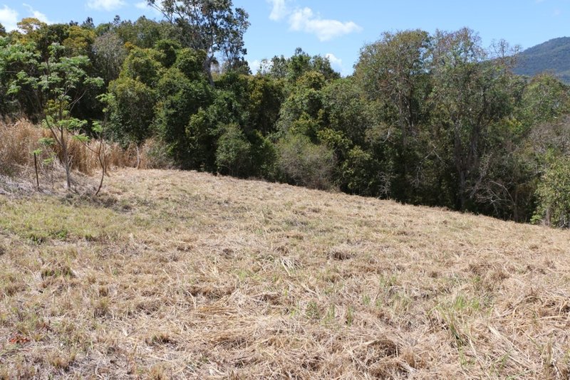 Photo - Lot 22/119 Botanica Drive, Cannonvale QLD 4802 - Image 3