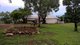 Photo - Lot 227/175 Strickland Road, Adelaide River NT 0846 - Image 16