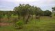 Photo - Lot 227/175 Strickland Road, Adelaide River NT 0846 - Image 18