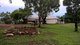 Photo - Lot 227/175 Strickland Road, Adelaide River NT 0846 - Image 16