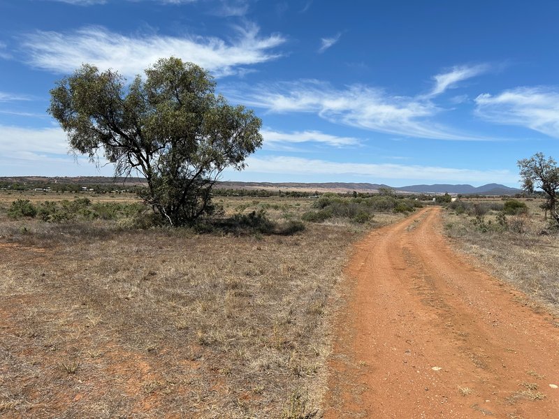 Photo - Lot 228 Quarry Road, Quorn SA 5433 - Image 4