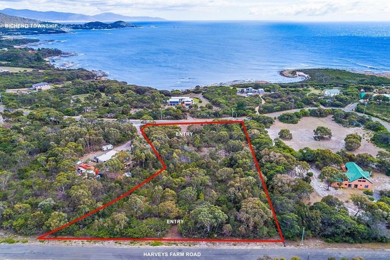 Lot 2/286 Harveys Farm Road, Bicheno TAS 7215