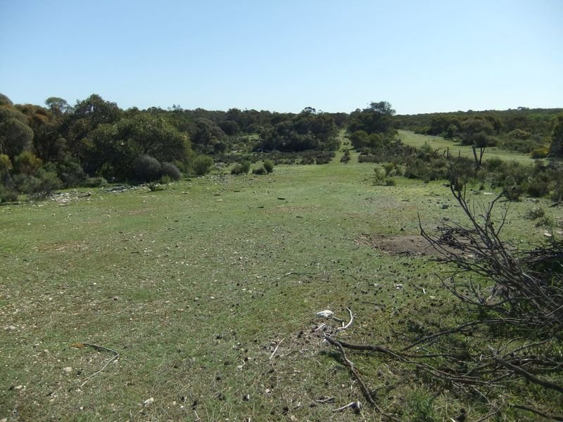 Lot 229 Levens Road, Warooka SA 5577