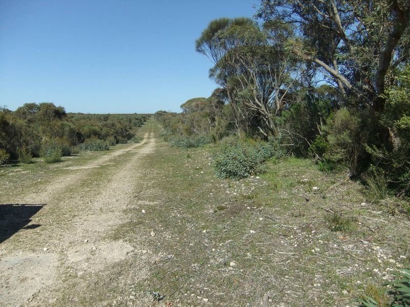 Photo - Lot 229 Levens Road, Warooka SA 5577 - Image 3