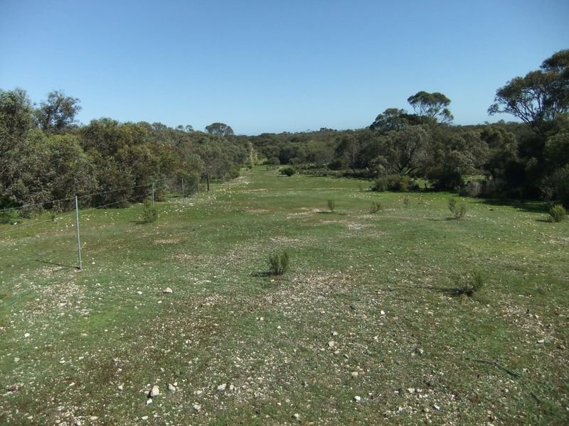 Photo - Lot 229 Levens Road, Warooka SA 5577 - Image 4