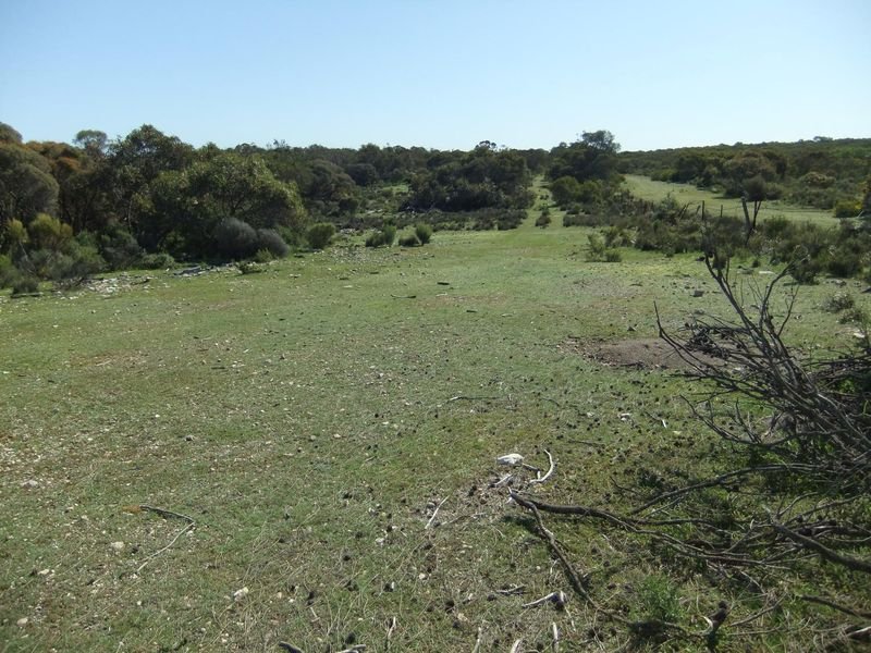 Photo - Lot 229 Levens Road, Warooka SA 5577 - Image 5