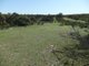 Photo - Lot 229 Levens Road, Warooka SA 5577 - Image 5