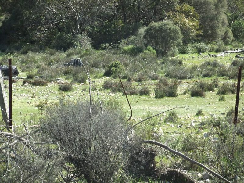 Photo - Lot 229 Levens Road, Warooka SA 5577 - Image 6