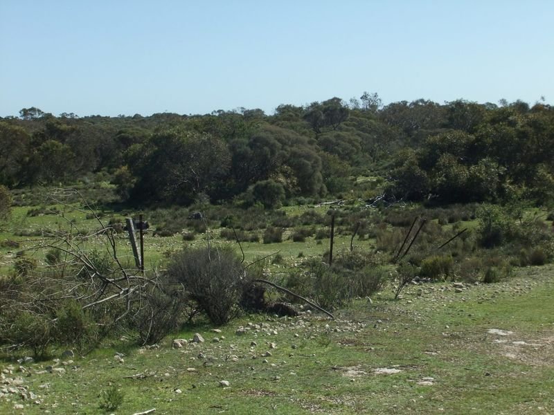 Photo - Lot 229 Levens Road, Warooka SA 5577 - Image 7