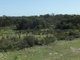 Photo - Lot 229 Levens Road, Warooka SA 5577 - Image 7