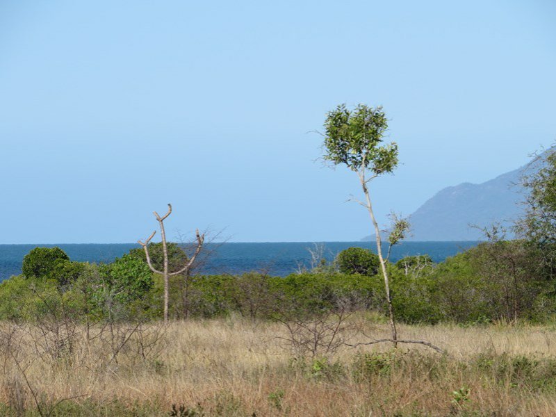 Photo - Lot 23 Adelaide Point Road, Bowen QLD 4805 - Image 8