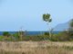 Photo - Lot 23 Adelaide Point Road, Bowen QLD 4805 - Image 8