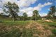 Photo - LOT 231 Stevenson Road, Glenwood QLD 4570 - Image 8