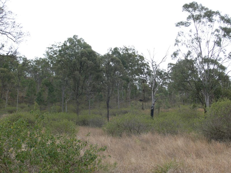 Lot 232 Stanley Pocket Road, Crossdale QLD 4312