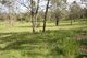 Photo - Lot 23/639 Lower Kangaroo Creek Road, Coutts Crossing NSW 2460 - Image 2