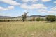 Photo - Lot 238 Deeks Road, Werris Creek NSW 2341 - Image 5