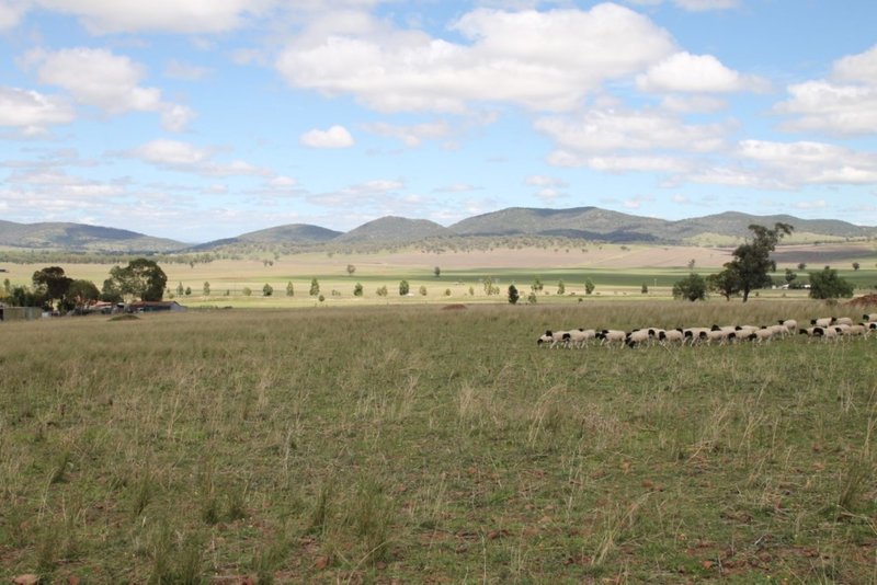 Photo - Lot 238 Deeks Road, Werris Creek NSW 2341 - Image 7