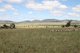 Photo - Lot 238 Deeks Road, Werris Creek NSW 2341 - Image 7