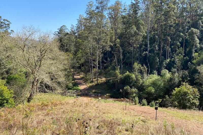 Photo - Lot 23/Toms Creek Road, Ellenborough NSW 2446 - Image 6