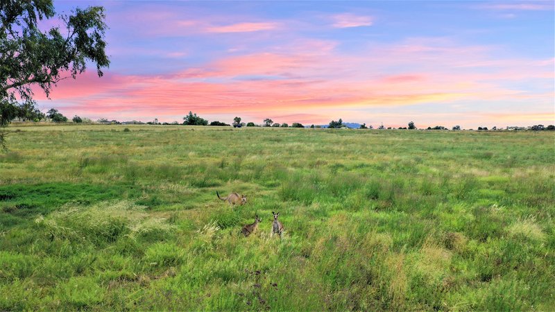 Photo - Lot 24 / 85 Gamble Street, Quirindi NSW 2343 - Image 9