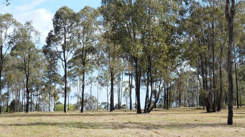 Photo - Lot 24 Hardgrave Road, Benarkin QLD 4306 - Image 7