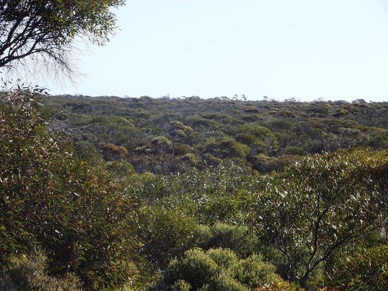 Photo - Lot 24 Hundred Line Road, Foul Bay SA 5577 - Image 9