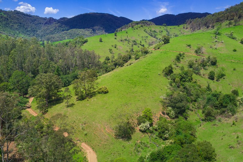 Photo - Lot 24/ Toms Creek Road, Ellenborough NSW 2446 - Image 4