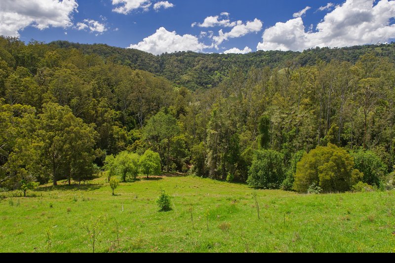 Photo - Lot 24/ Toms Creek Road, Ellenborough NSW 2446 - Image 6