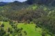 Photo - Lot 24/ Toms Creek Road, Ellenborough NSW 2446 - Image 1