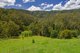 Photo - Lot 24/ Toms Creek Road, Ellenborough NSW 2446 - Image 6