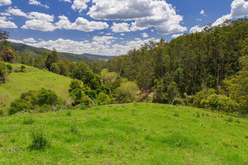 Photo - Lot 24/ Toms Creek Road, Ellenborough NSW 2446 - Image 9