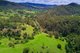 Photo - Lot 24/ Toms Creek Road, Ellenborough NSW 2446 - Image 12