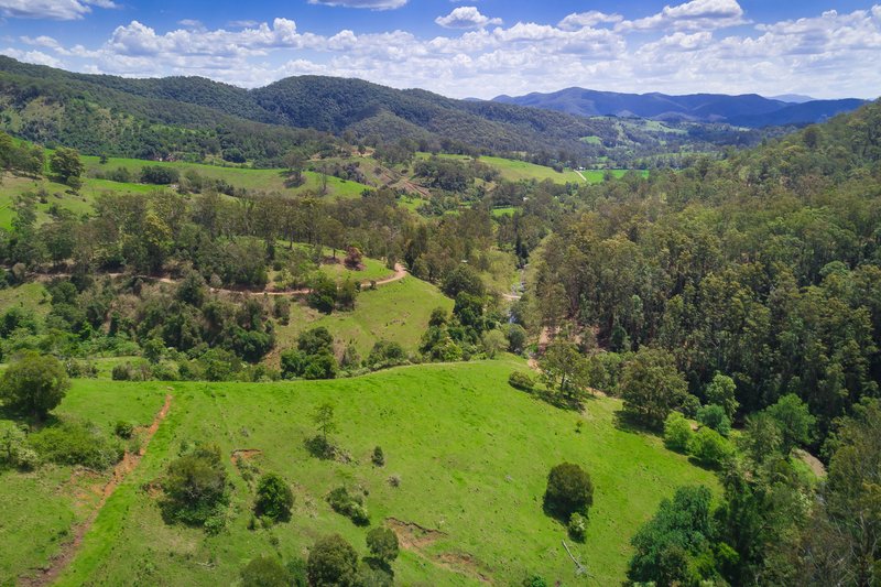 Photo - Lot 24/ Toms Creek Road, Ellenborough NSW 2446 - Image 16