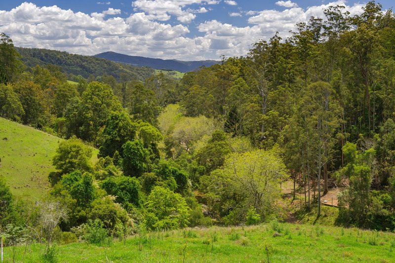 Photo - Lot 24/ Toms Creek Road, Ellenborough NSW 2446 - Image 17