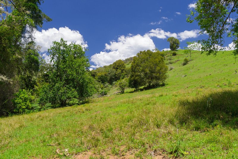 Photo - Lot 24/ Toms Creek Road, Ellenborough NSW 2446 - Image 18