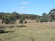 Photo - Lot 240 Mt Janet Road, Dalveen QLD 4374 - Image 2