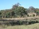 Photo - Lot 240 Mt Janet Road, Dalveen QLD 4374 - Image 3