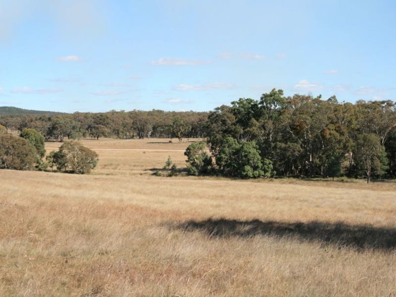 Photo - Lot 240 Mt Janet Road, Dalveen QLD 4374 - Image 5