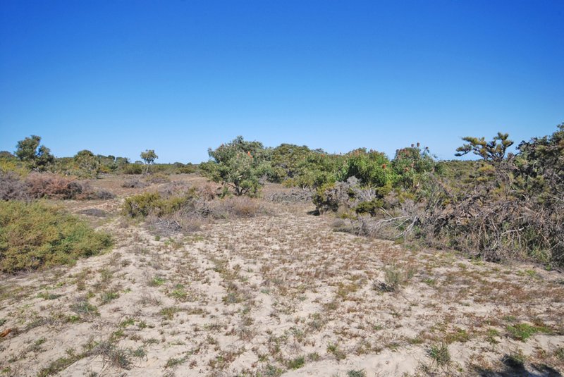 Lot 242 Zendora Road, Jurien Bay WA 6516 Real Estate Industry Partners