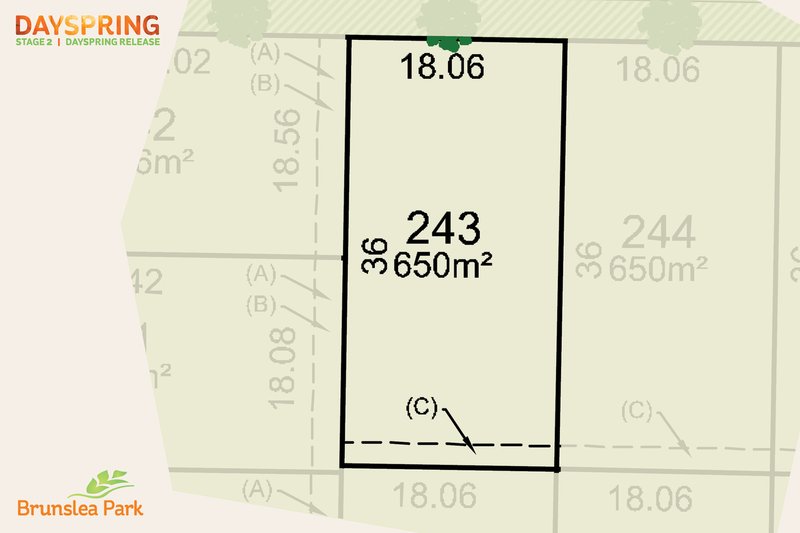 Photo - Lot 243 Blackwood Circuit, Forest Hill NSW 2651 - Image 3