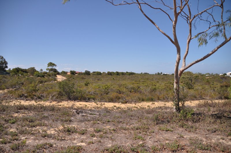 Photo - Lot 243 Seaview Drive, Karakin WA 6044 - Image 10